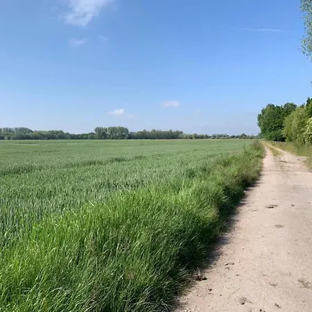 In Near The Nieuwpoort