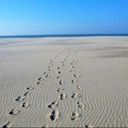 Lejlighed In Near The