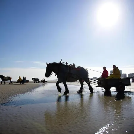 Lejlighed In Near The Nieuwpoort
