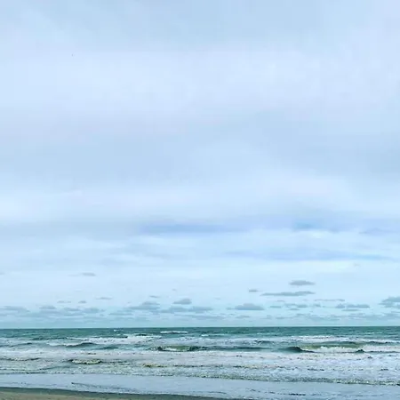 Lejlighed In Near The